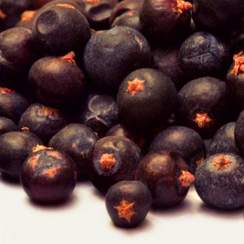 Food Whole Spice Organic Juniper Berries